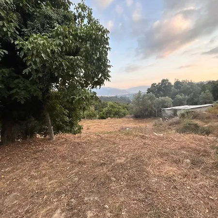 Casinha Cerqueira Vale